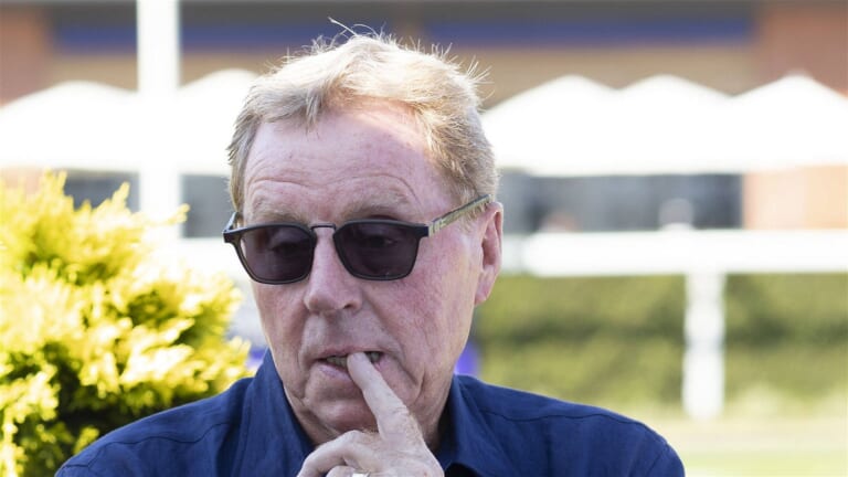 Harry Redknapp explains why he’s picked out this Newcastle United star
